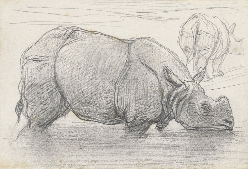 Rhinoceros In Water Canvas Art - (24 x 18)