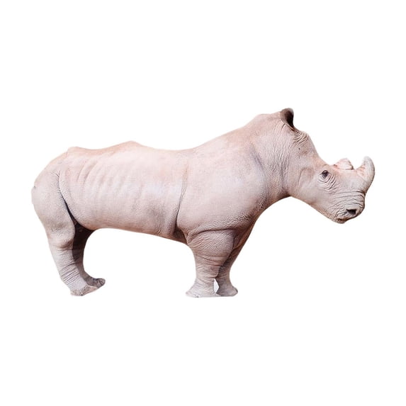 Rhinoceros Lifelike Plush Stuffed Animal Soft Cuddly Jungle Friend for Decorative Display and Animal Enthusiasts Unique Handcrafted Striped Companion Rhinoceros