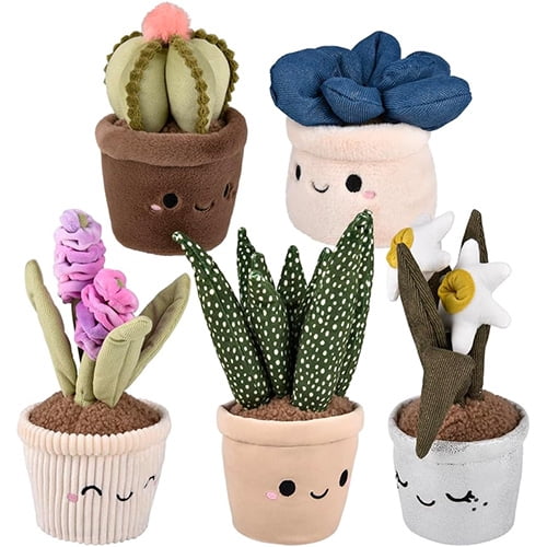 Rhode Island Novelty Succulent Plant Plushes - SET OF 5 [Daisy, Cactus, Aloe Vera, Hyacinth +1)