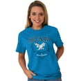 thumbnail image 1 of Rhode Island Ocean State Symbol Women's Graphic T Shirt Tees Brisco Brands M, 1 of 6