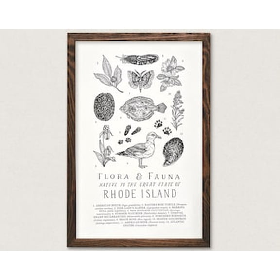 Rhode Island Wildlife Field Guide Poster Ri Outdoors Flora Fauna Wall Art, Poster Only