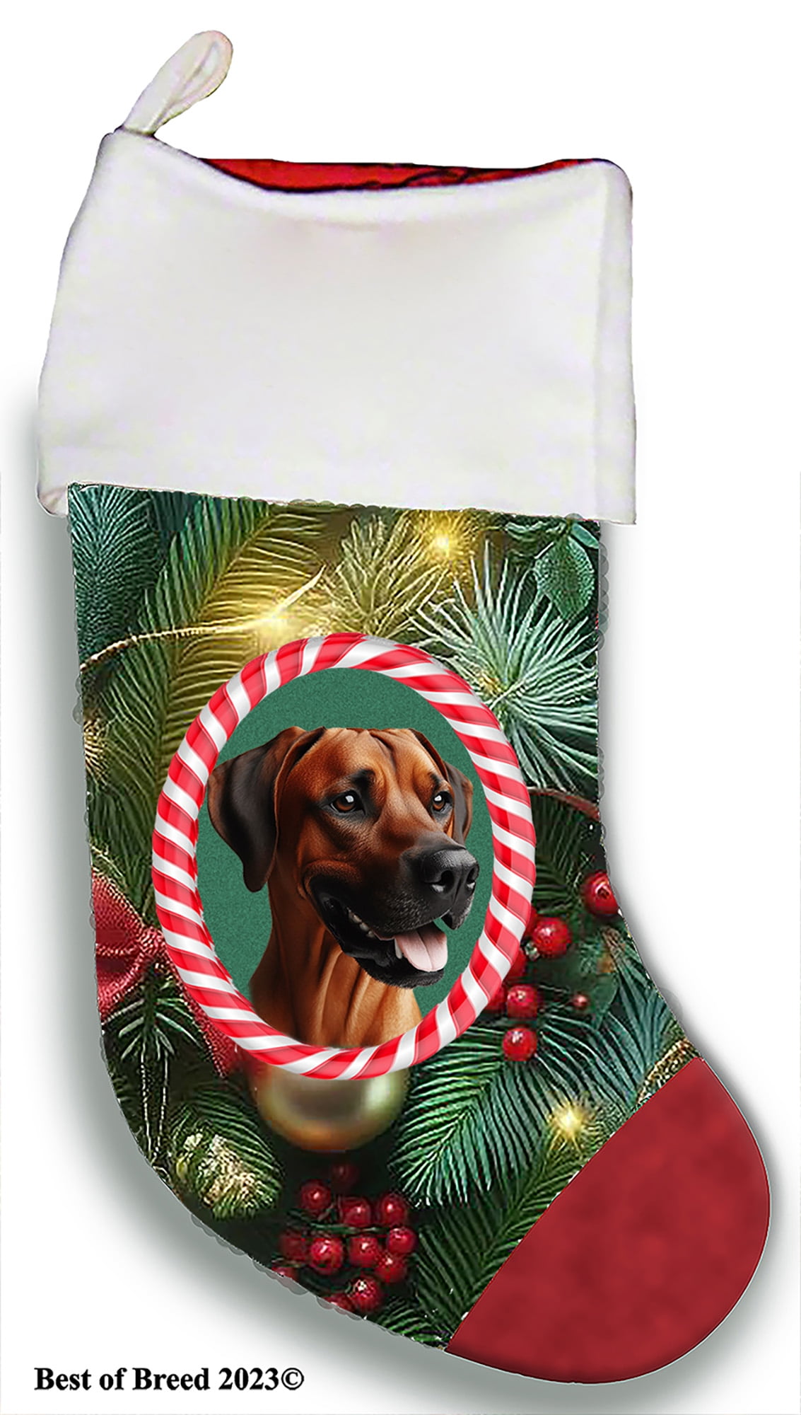 Rhodesian Ridgeback - Best of Breed Christmas Stocking 13.5