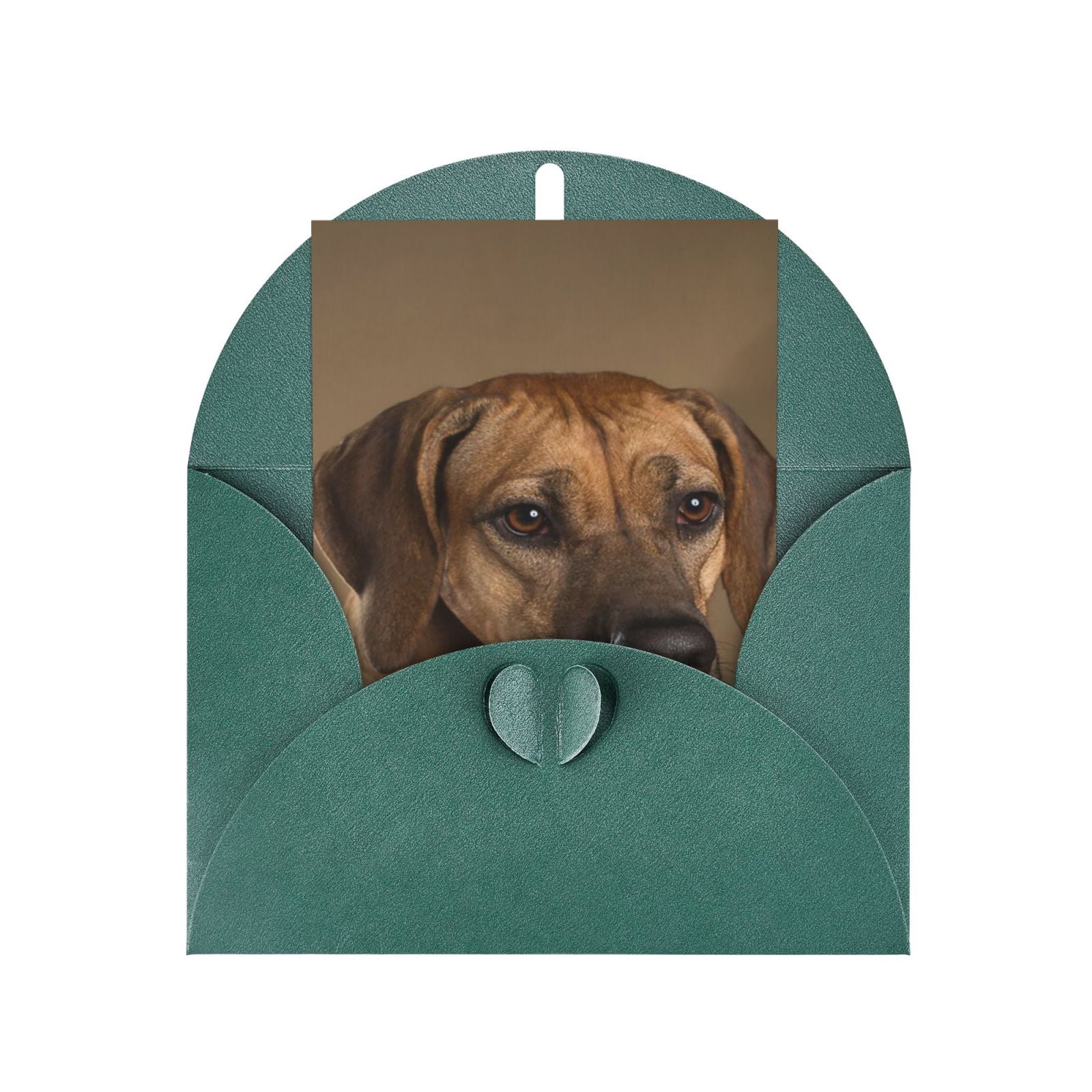 Rhodesian Ridgeback Birthday Cards Blank Cards Greeting Card With ...