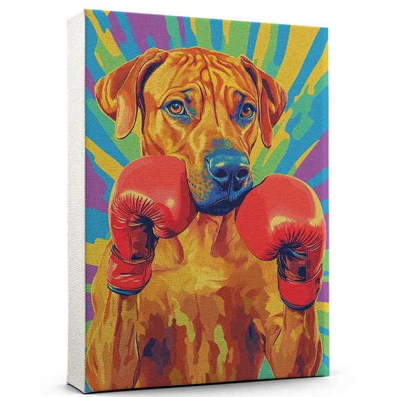 Rhodesian Ridgeback Dog Boxing Stretched Canvas Size 8x12 – Funny Rhodesian Ridgeback Dog Playing Boxing Canvas Wall Art for Sports Lovers, Pet Lovers, Home Decor