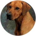 thumbnail image 1 of Rhodesian Ridgeback Dog Round Area Rug Non-Slip Floor Mats Polyester Throw Rugs Floor Carpet for Door Entryway Bedrooms Living Room Decor, 27.6 X 27.6 Inches, 1 of 6