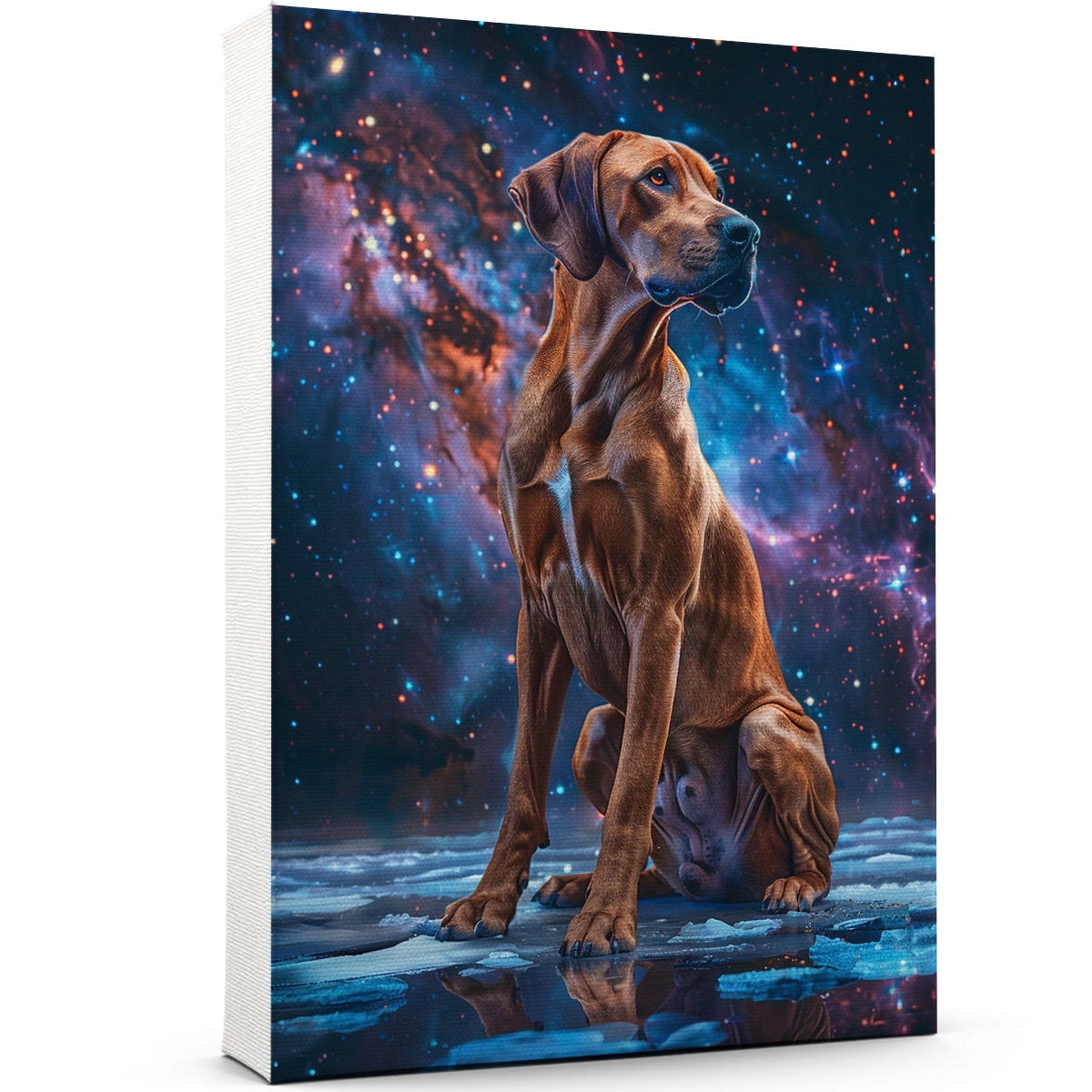 Rhodesian Ridgeback Dog Wall Art, Dog with Space Starry Night : Pet ...
