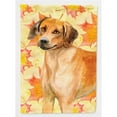 thumbnail image 1 of Rhodesian Ridgeback Fall Flag - Garden Size, 1 of 1