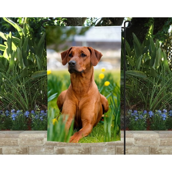 Rhodesian Ridgeback Garden Flag