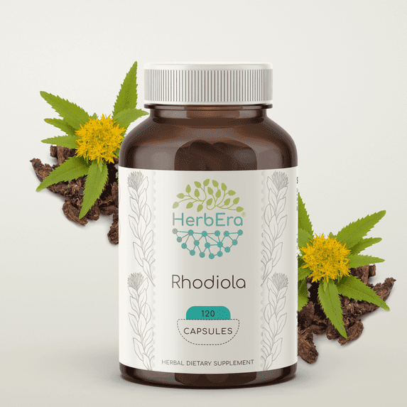 HerbEra Rhodiola Capsules, Herbal Dietary Supplement for Stress Support, Rhodiola (Rhodiola Rosea) Dried Root Capsules, Natural, 120 Capsules