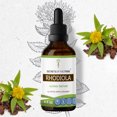 thumbnail image 1 of Rhodiola Tincture Alcohol Extract, Organic Rhodiola (Rhodiola Rosea) Dried Root 4 oz, 1 of 6