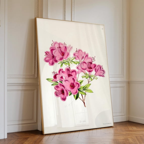Rhododendron From The Floral Magazine Illustration Flower Poster ...
