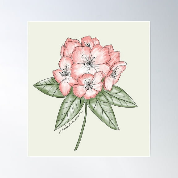 Rhododendron Poster Wall Art, Modern Wall Decor For Living Room Bedroom, 8x12 UNFRAMED