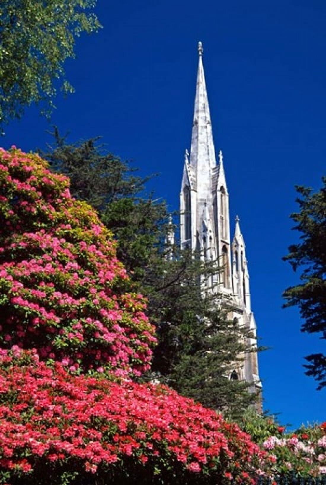 Rhododendrons and First Church Dunedin New Zealand Canvas Art - David Wall DanitaDelimont (18 x 24)