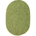 thumbnail image 1 of Rhody Rug SA68R024X048 Sandi 2 x 4 ft. Tweed Indoor-Outdoor Oval Braided Rug, Bayleaf, 1 of 5
