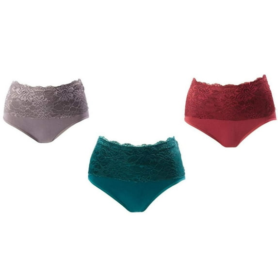 Rhonda Shear 3-pack Seamless Lace Overlay Brief Set-HAC480
