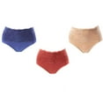 thumbnail image 1 of Rhonda Shear 3-pack Seamless Lace Overlay Brief Set-S51480, 1 of 9