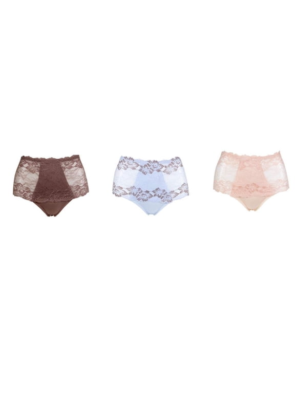 Rhonda Shear Lace Overlay Pin-Up Brief 3-pack-58351822K482