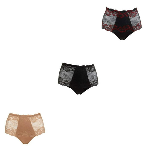 Rhonda Shear Lace Overlay Pin-Up Brief 3-pack-5835187A2480