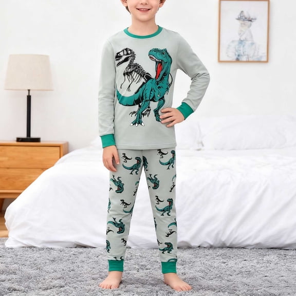 Rhoudy Boys Clothes 6-7 Years Dinosaur Print Long Sleeve Pajama Two Piece For Kids And Relaxation Basic Outfits Green2