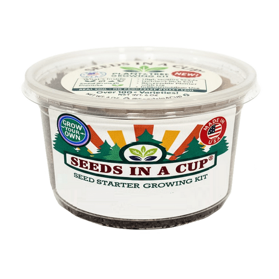 Seeds In A Cup Rhubarb Vegetable Seed Plant Starter Grow Kit