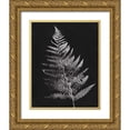 thumbnail image 1 of Rhue, Piper 20x24 Gold Ornate Wood Framed with Double Matting Museum Art Print Titled - Nature by the Lake Ferns VI Black Crop, 1 of 4