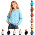thumbnail image 1 of Rhuody Fall Winter Sweatshirts For Girls Long Sleeve Round Neck Graphic Prints Pullover Hoodies With Pockets Leisure Toddler Playsuit 3-4 Years Light Blue, 1 of 6