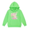thumbnail image 1 of Rhuody Toddler Sweatshirt For Girl Bunny Print Pullover Sweatshirt Long Sleeve Crewneck Outerwear Warm Jacket For Autumn Winter Comfortable Clothes Green 3-4 Years, 1 of 4