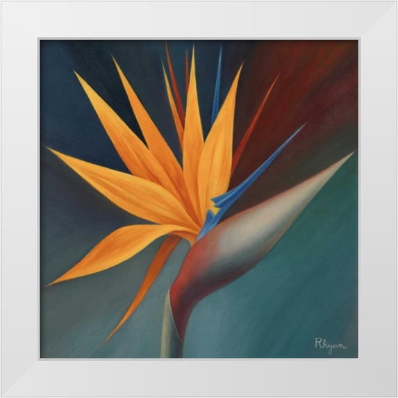 Rhyan, Vivien 15x15 White Modern Wood Framed Museum Art Print Titled - Bird of Paradise I