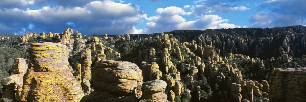 Rhyolite sculptures along the Echo Canyon Trail Chiricahua National Monument Arizona USA Canvas Art - Panoramic Images (27 x 9)