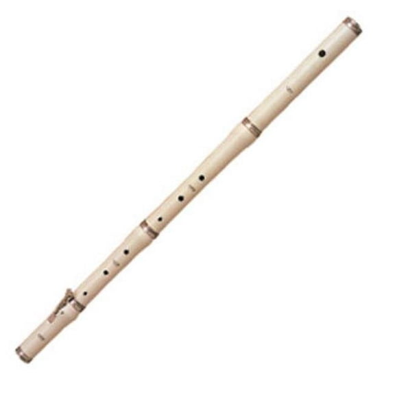 Rhythm Band Instruments AF3H Stanes by Jr Flute-Hard Case
