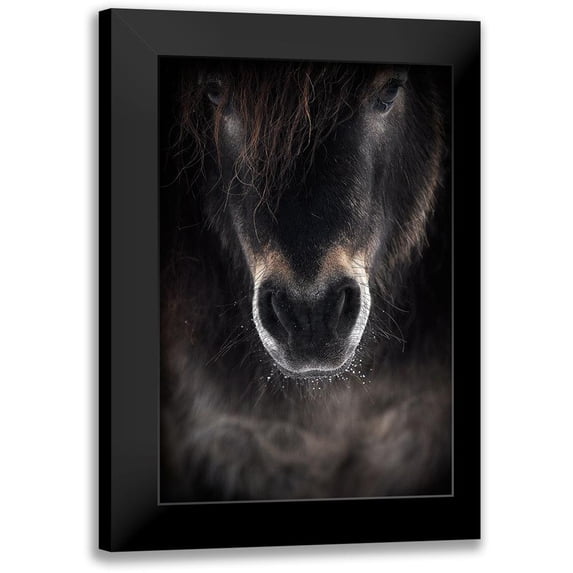 Ri, P 17x24 Black Modern Framed Museum Art Print Titled - Ulysses