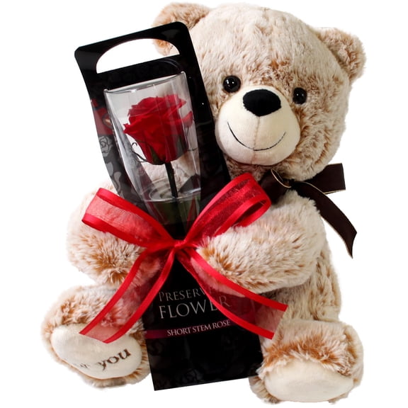 RiRo Preserved Flower, Preserved Rose, Teddy Bear with Single Red Rose, Gift, Celebration, Anniversary, Birthday, Flower Arrangement, Flower Gift, Everlasting Rose, Flowers, for Women Y101