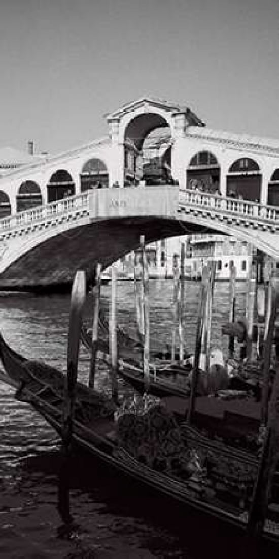 Rialto Bridge Venice Canvas Art - Heiko Lanio (24 x 48)