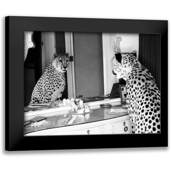 Rian, Emma 14x12 Black Modern Framed Museum Art Print Titled - Cheetah looking in mirror