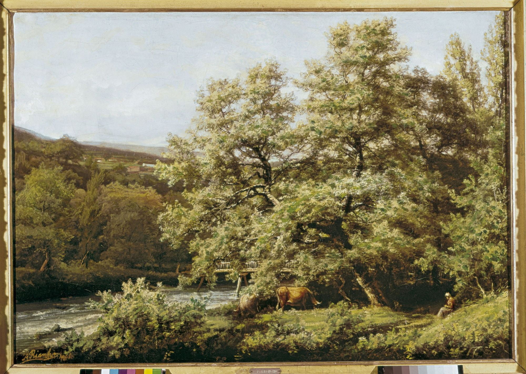 Rianchoagust??n (1841-1929) Canvas Art - (24 x 18)