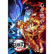 Riapawel Demon Slayer Posters, Anime Demon Slayer All Members Painting Silk Clothes Art Posters A3 Size for Living Room Office Walls Decorations