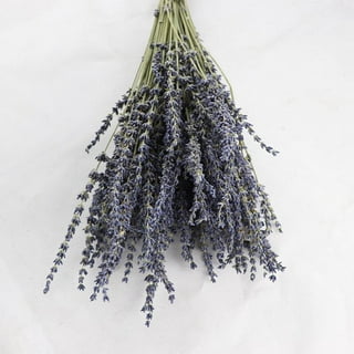 Lavender Bundle, Dried Lavender Bouquet, 100-120 Stem Per Bouquet