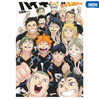  Haikyuu Poster Season 1 Key Art English Anime Stuff Haikyuu  Manga Haikyu Anime Poster Crunchyroll Streaming Anime Merch Animated Series  Show Karasuno Volleyball Cool Wall Decor Art Print Poster 12x18: Posters