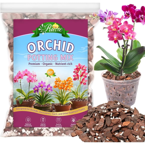 Riare 6QT Orchid Potting Mix, Natural Orchid Bark Potting Mix Soil Medium with Pine Bark and Perlite, Premium Orchid Repotting Kit for Phalaenopsis Dendrobiums, Enhanced Drainage & Root Expansion