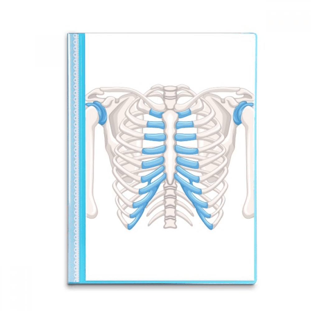 Rib Thoracic Lucky Illustration Book Sheet Protectors Portfolio Binder ...