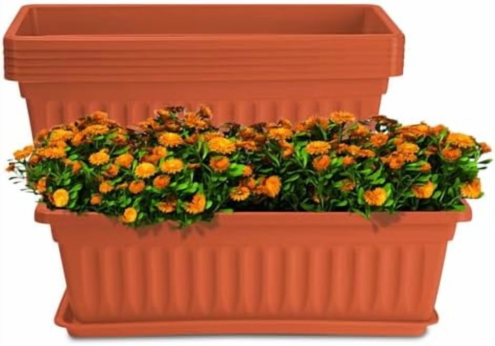 RibRave 6 Pack Window Box Planter, 17 inches Plastic Vegetable Flower Planter Boxes with Tray, Rectangular Indoor and Outdoor Flower Pots for Windowsill, Patio, Porch, Garden Balcony