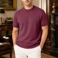 thumbnail image 1 of Ribbed Mock Neck Short Sleeve Knit Top for Men Slim Fit Wrinkle Resistant Fine Knit Jersey for Coffee Shop Park Family Trip Outfits Wine XXL, 1 of 4