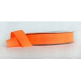 thumbnail image 1 of Ribbon Bazaar Neon Grosgrain 2-1/4 inch Orange 50 yards 100% Polyester Ribbon, 1 of 1