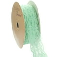 thumbnail image 1 of 7/8" Stretch Elastic Lace Trim Pastel Green 5 Yard, 1 of 2