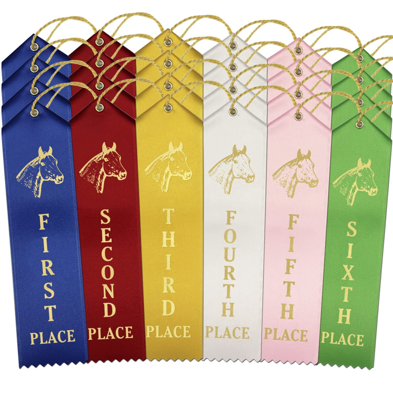 RibbonsNow Horse Show Ribbons 1st - 6th Place - 600 Total Ribbons - 100 ...