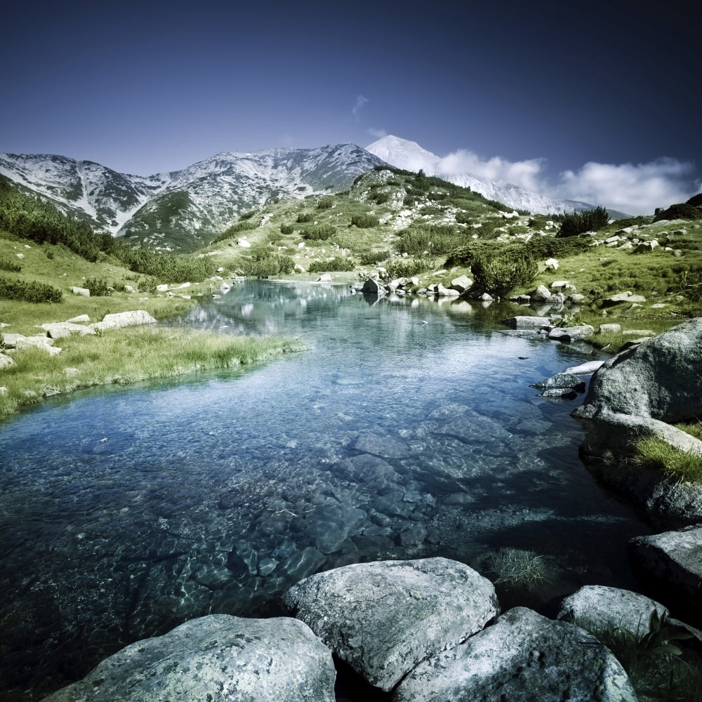 Ribno Banderishko River in Pirin National Park Bansko Bulgaria Canvas Art - Evgeny KuklevStocktrek Images (29 x 29)