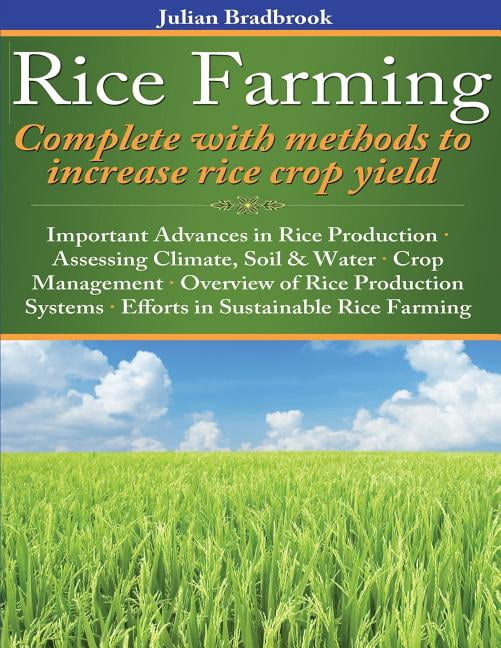 Increase Rice Rice Farming complete with methods to increase rice crop yield ...