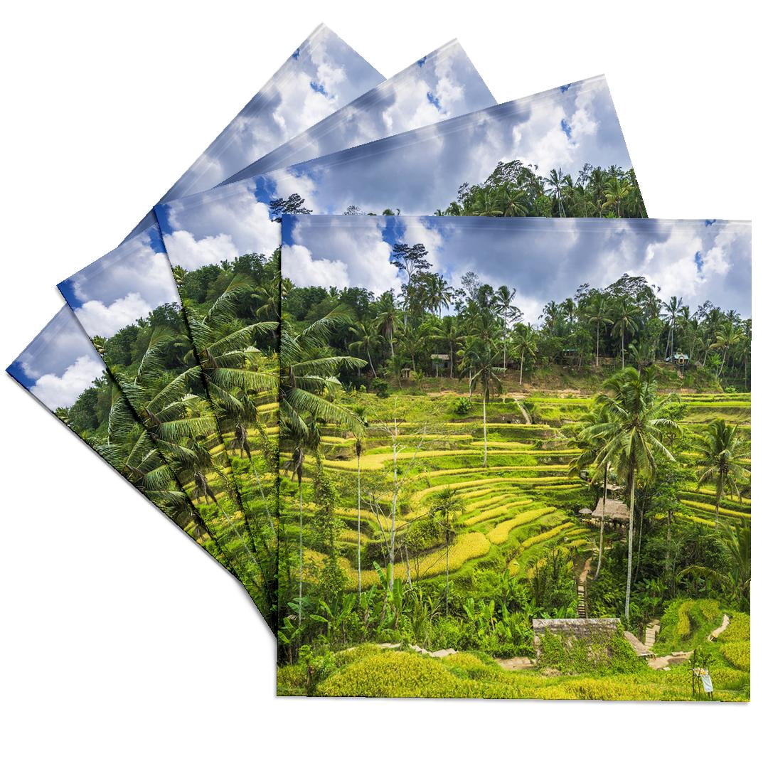 3drose, Rice Fields at Tegallalang Rice Terrace, Bali, Indonesia, Set ...