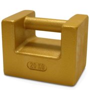 Rice Lake 12771 Cast Iron Painted Grip Handle Test Weight, 20kg Mass, NIST Class F J101