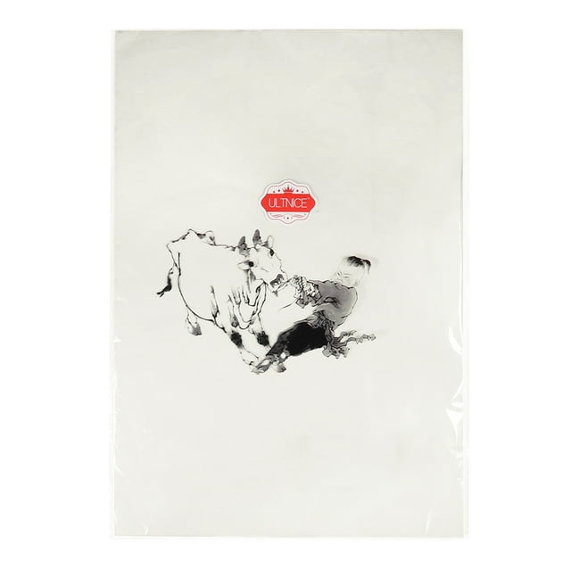 Rice Paper Mothballs Xuan Paper Painting Practice Paper Sumi Drawing Paper Traditional Chinese